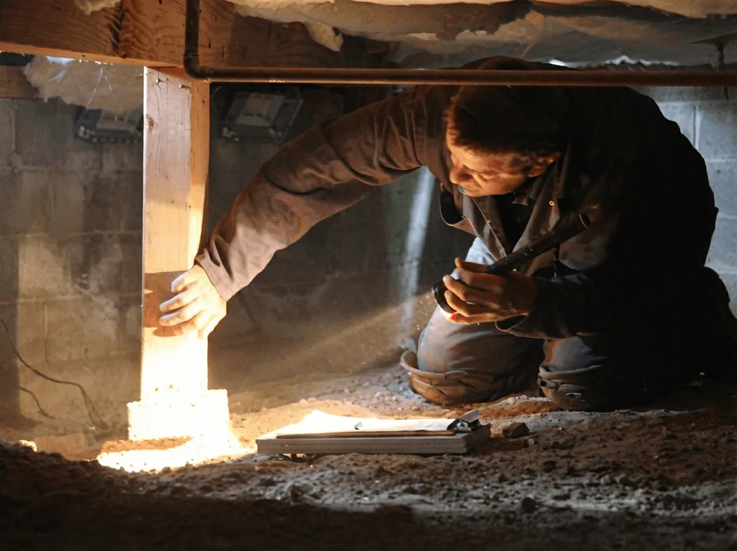 A professional inspecting wooden beams under the floor of a structure in Sacramento, CA